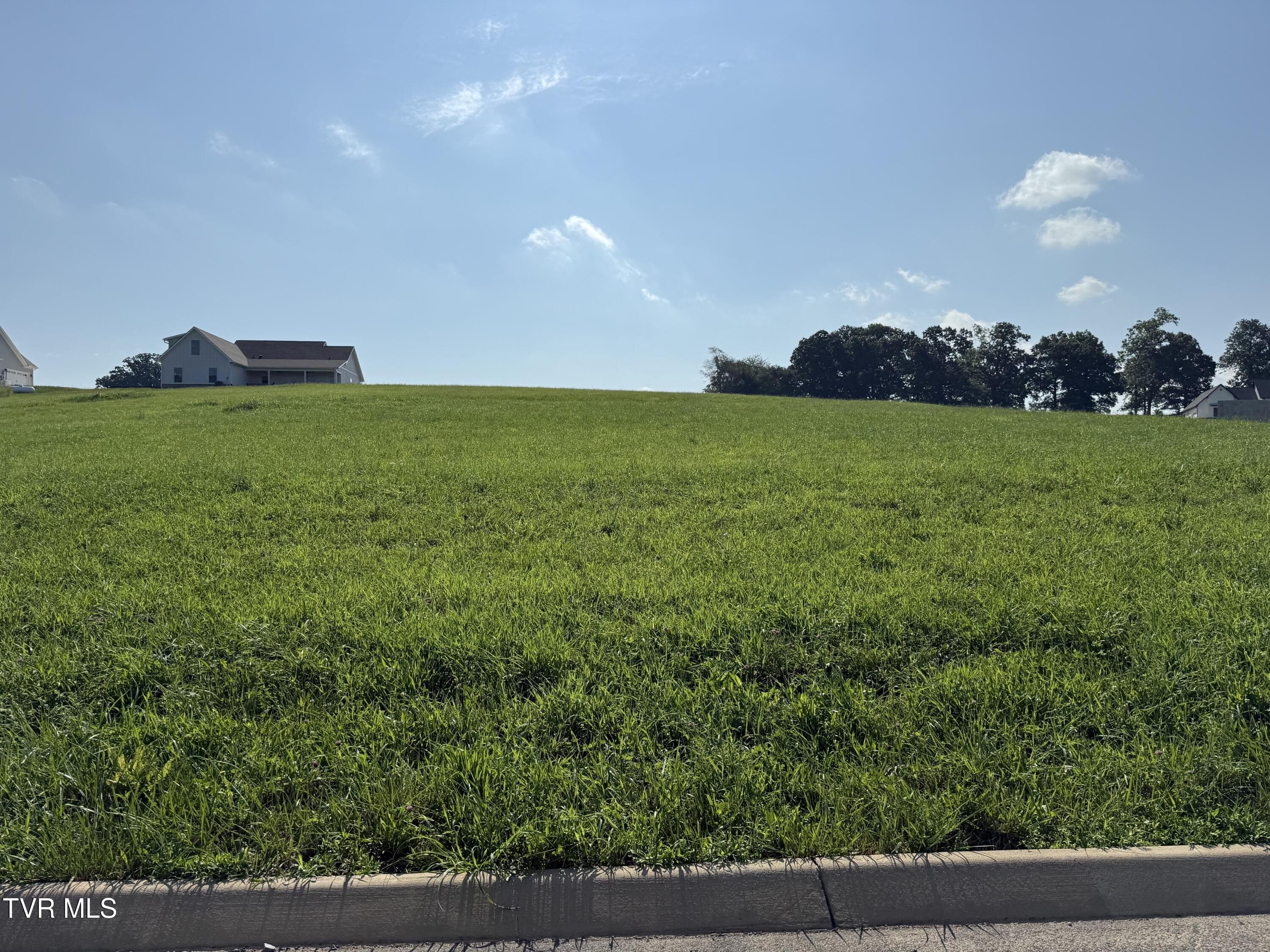 Residential Land in Jonesborough, TN