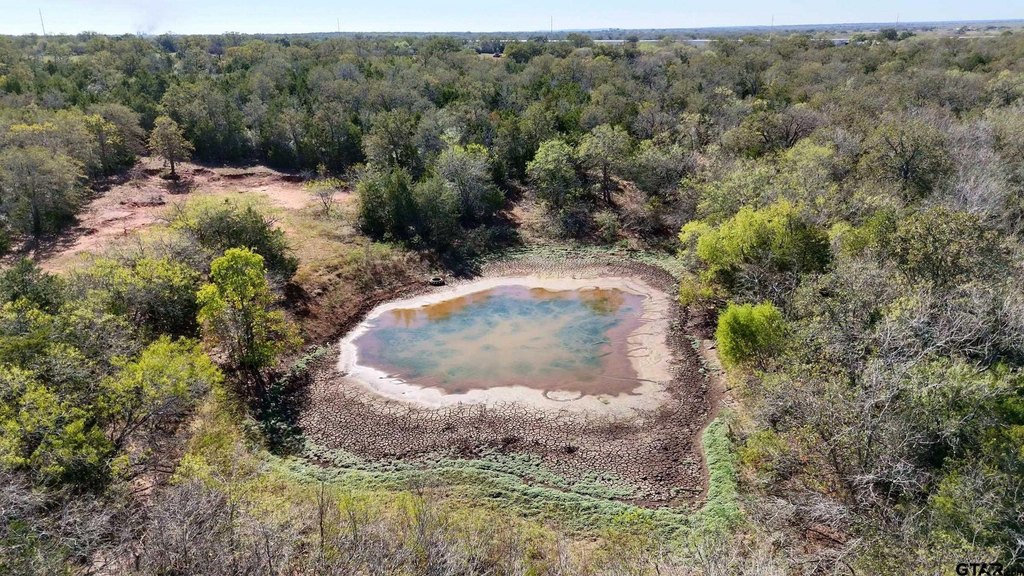 Picture 22