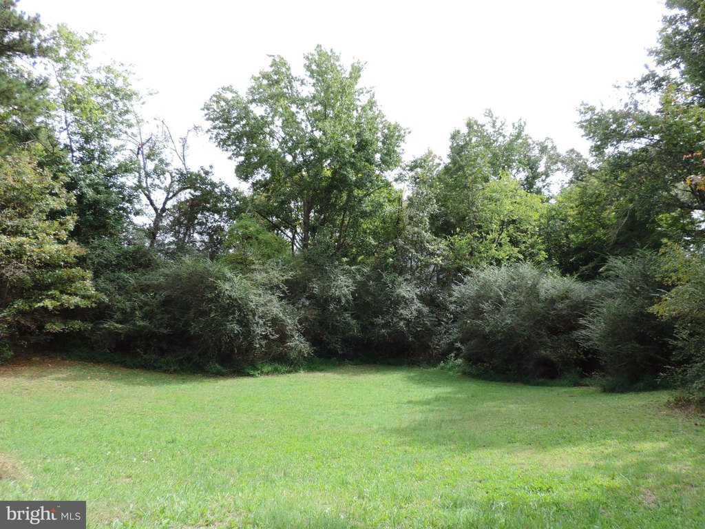 Picture 24