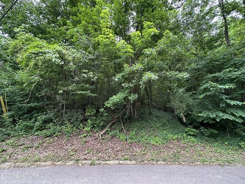 Knoxville Land Near Golf Course