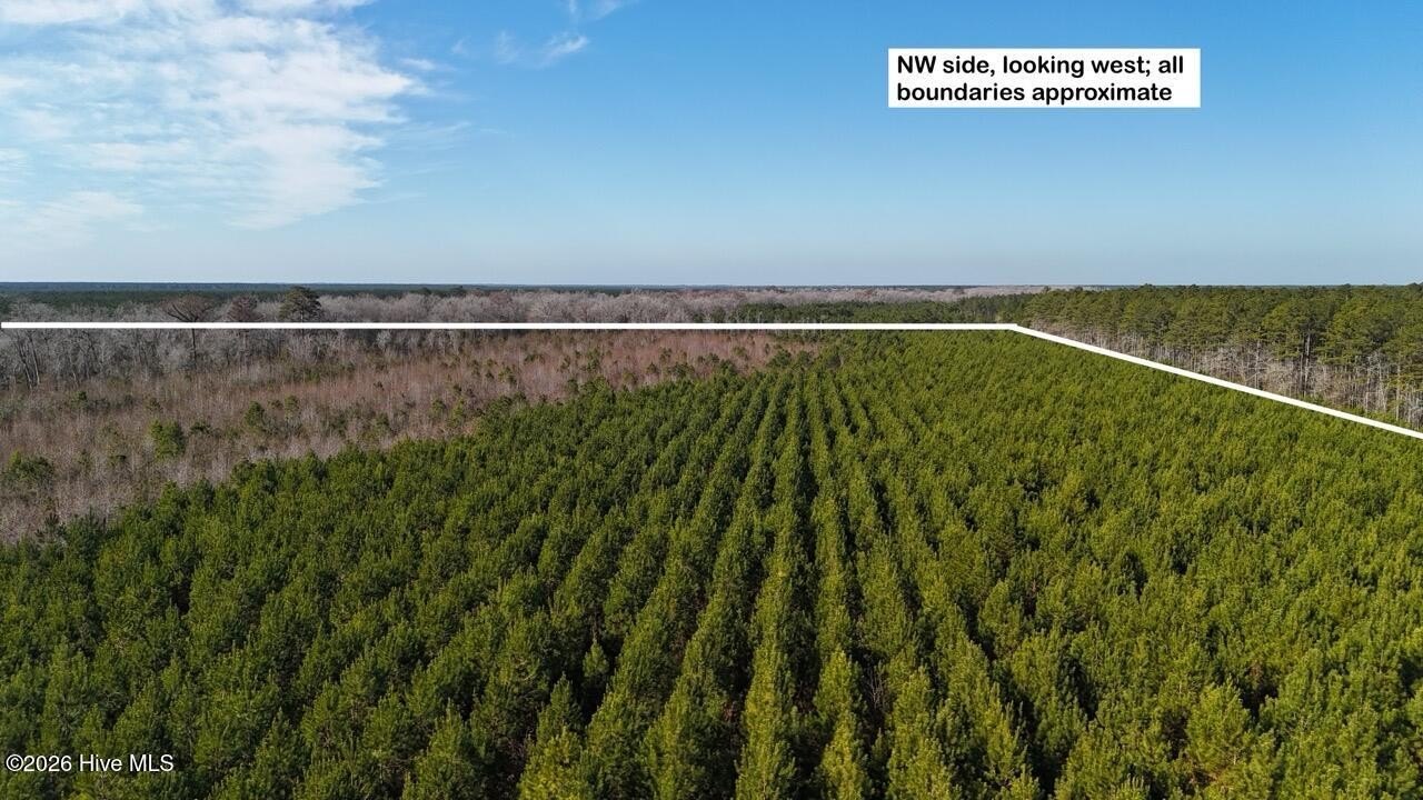 Expansive Recreational and Investment Land