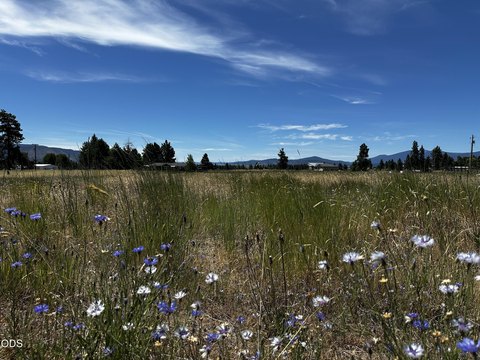 Mountain-View Residential Land Parcel