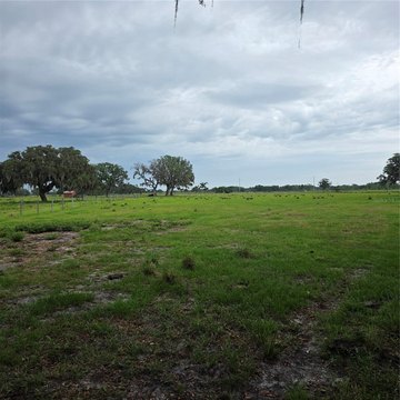 Agricultural Land