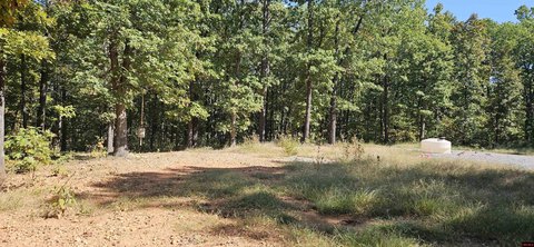 5 Acres Near Bull Shoals