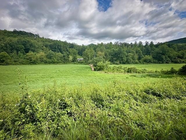 Unrestricted Land Near Lake Chatuge