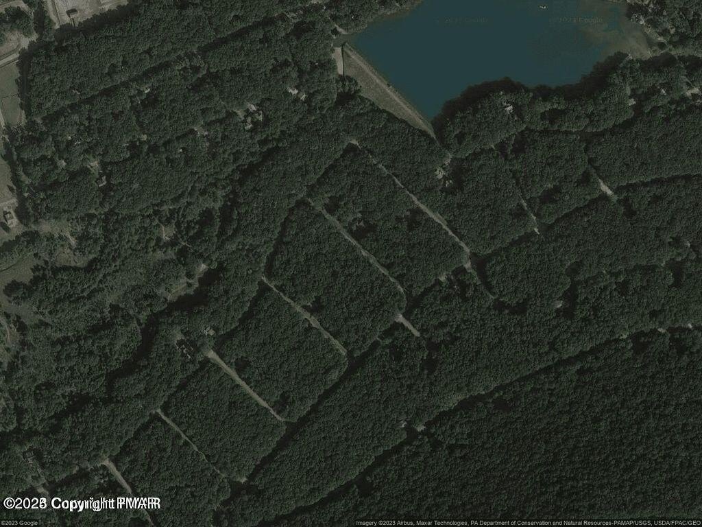 Picture 8