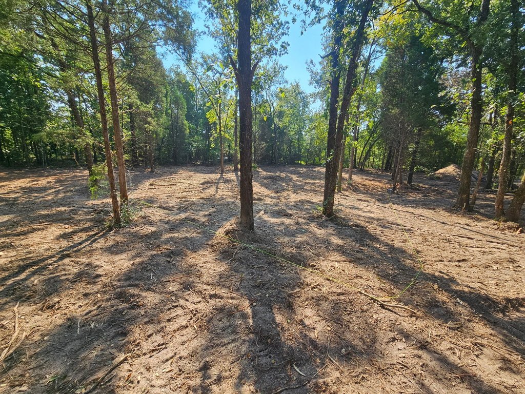 Picture 5
