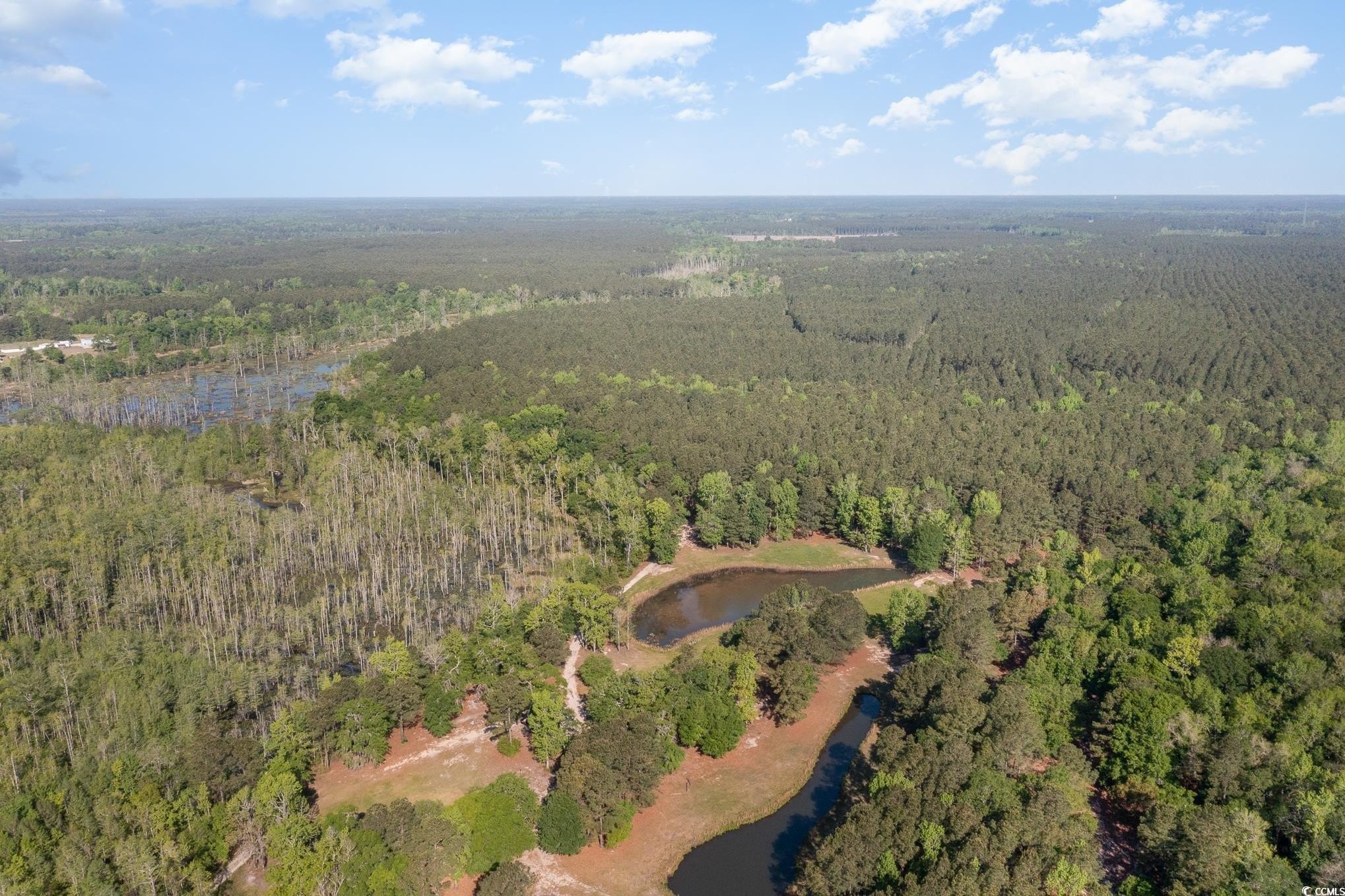 78 Acres Near Conway, SC