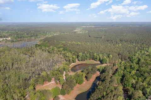 78 Acres Near Conway, SC