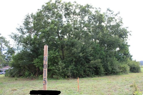 Land For Sale, Rocky Mount