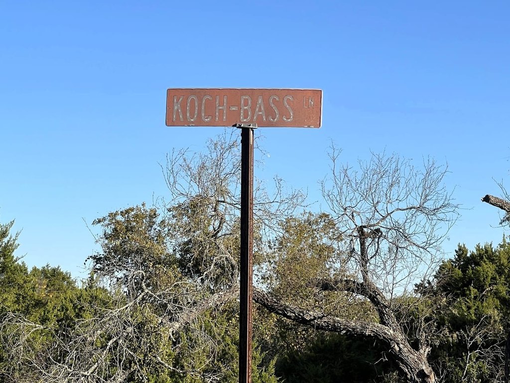 Picture 38