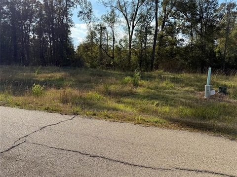 Residential Land in Hammond, LA