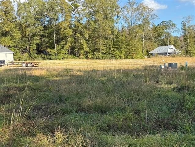 Picture 3