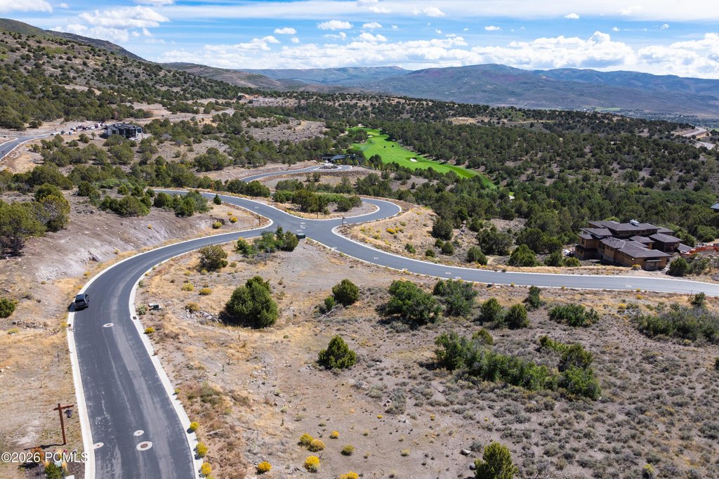 Picture 14