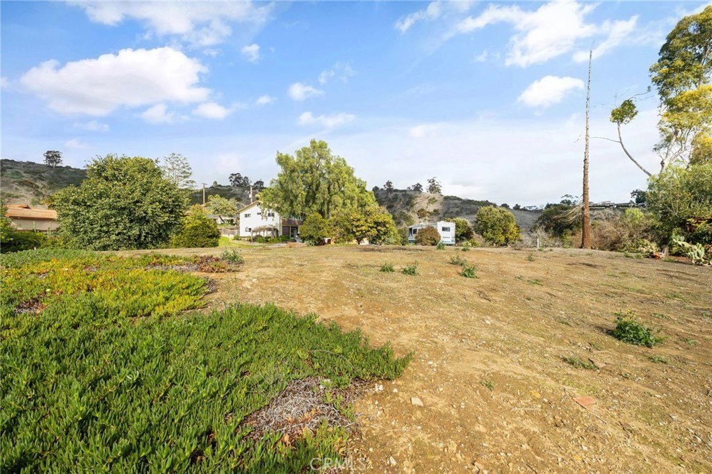 Picture 16
