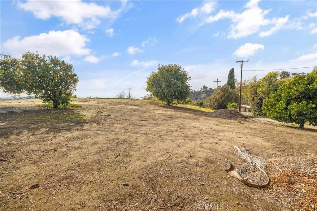 Picture 31