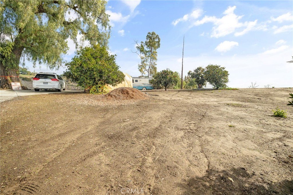 Picture 27