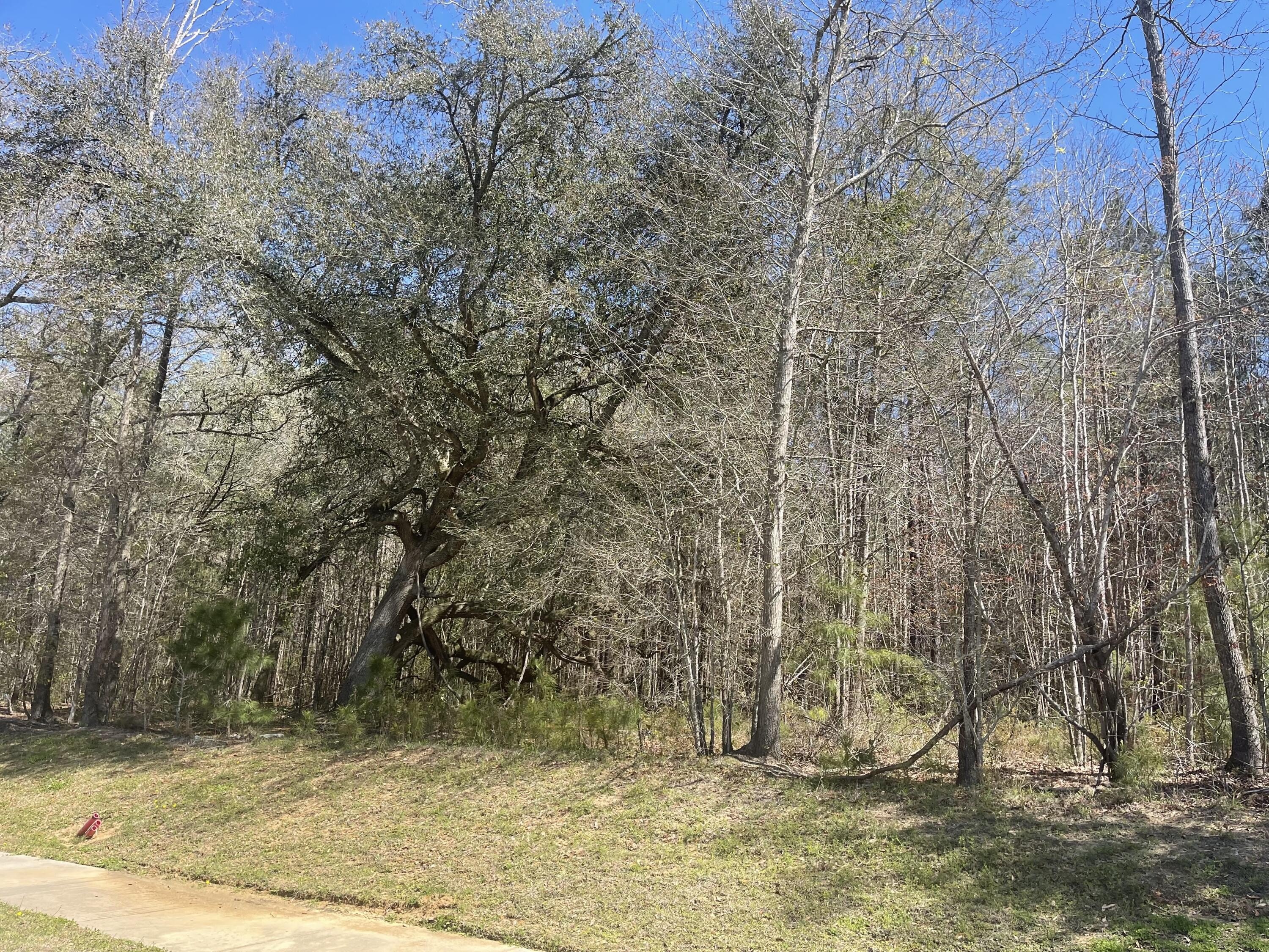 Moncks Corner Land For Sale