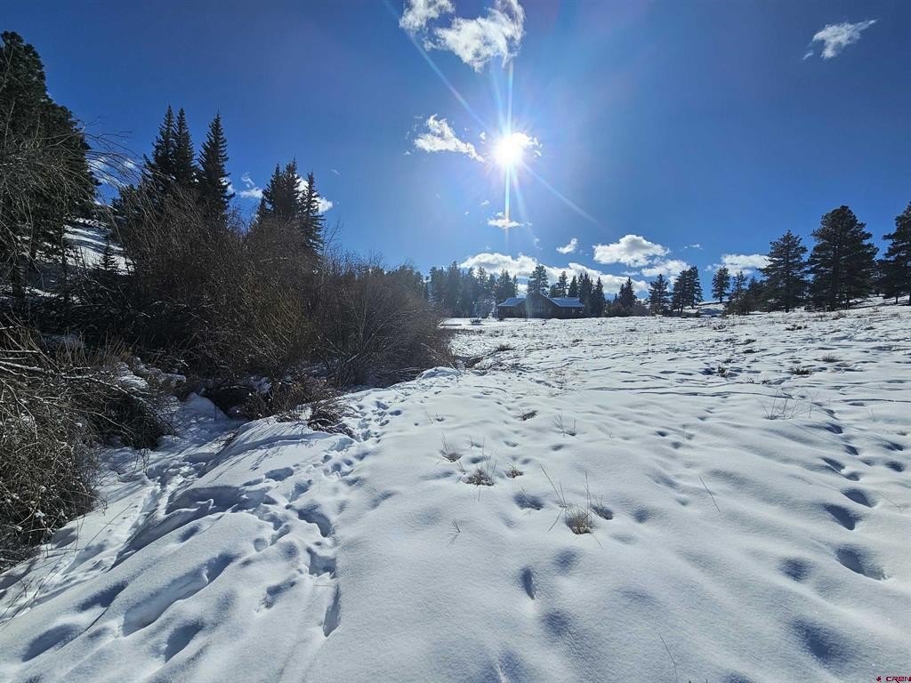 Picture 25