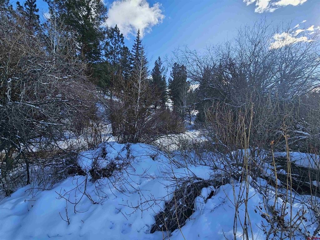 Picture 23