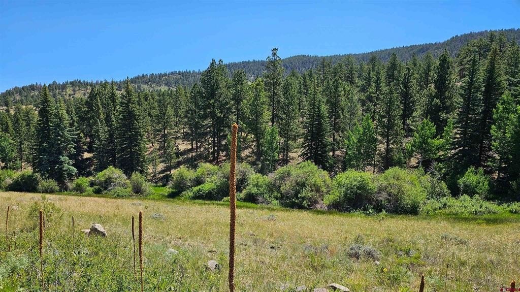 Land in South Fork, CO