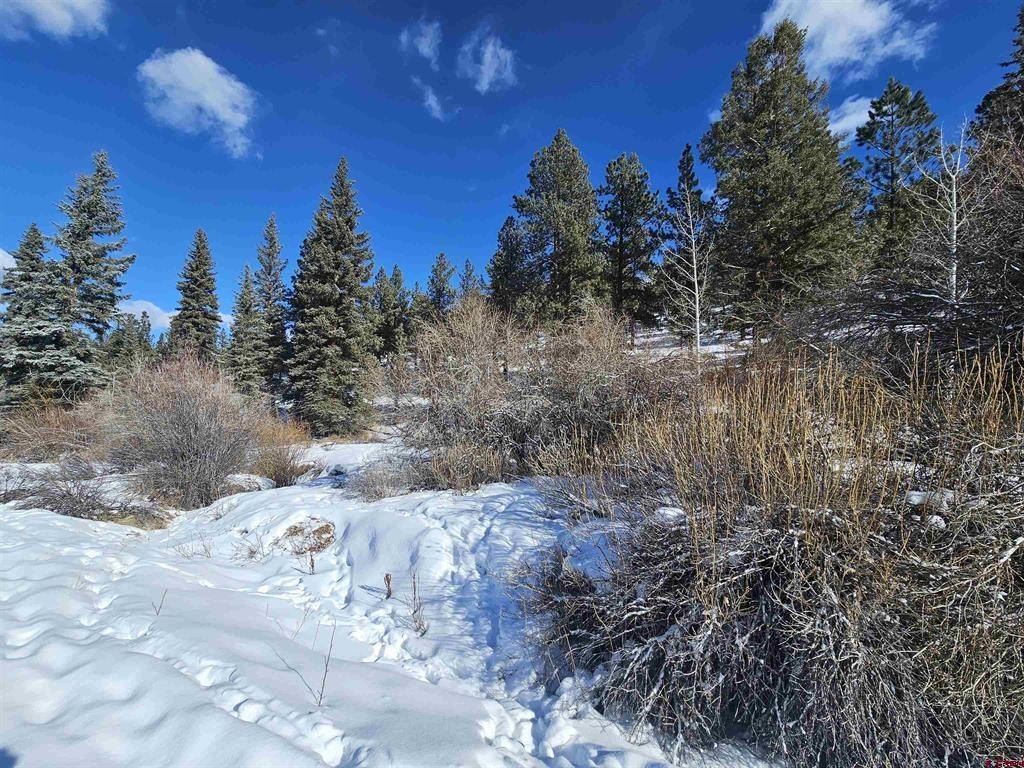Picture 20