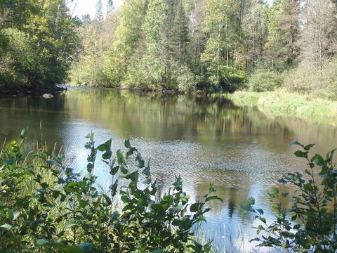 Heavily Wooded Riverfront Land