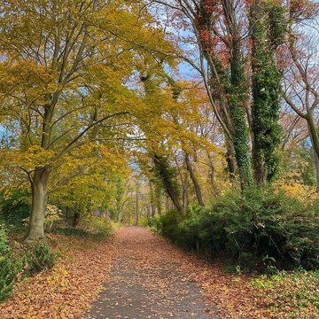 Land in Upper Brookville, NY