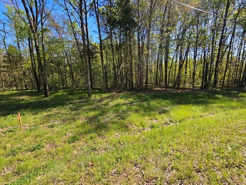 Residential Land in Buckingham County