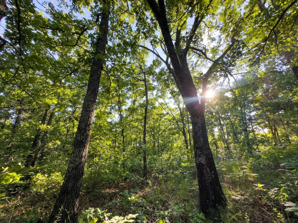 Picture 25