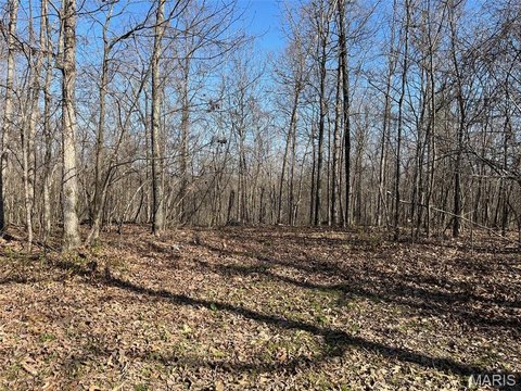 Wooded Hunting Recreation Land