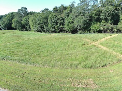 Vacant Lot, Morganton, GA