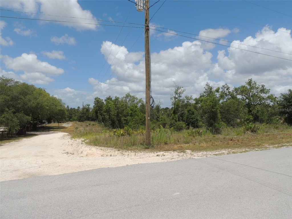 Picture 6