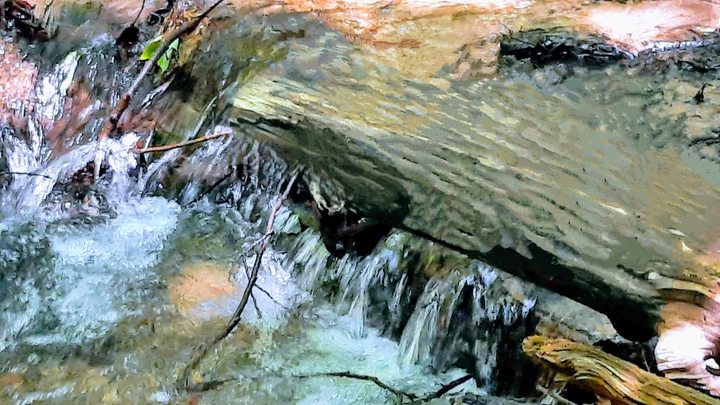Picture 11