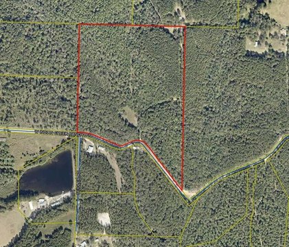 Secluded 48-Acre Wooded Land