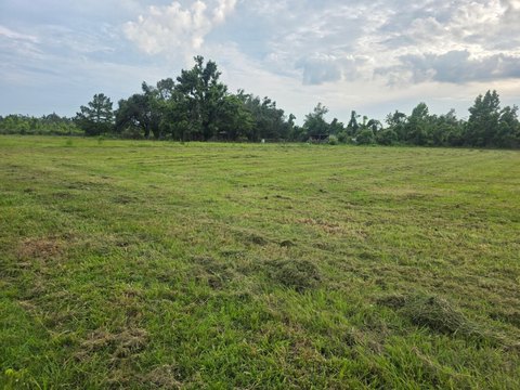 Vacant Land - Epps, LA