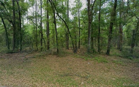 LAND - Citrus Springs, FL
