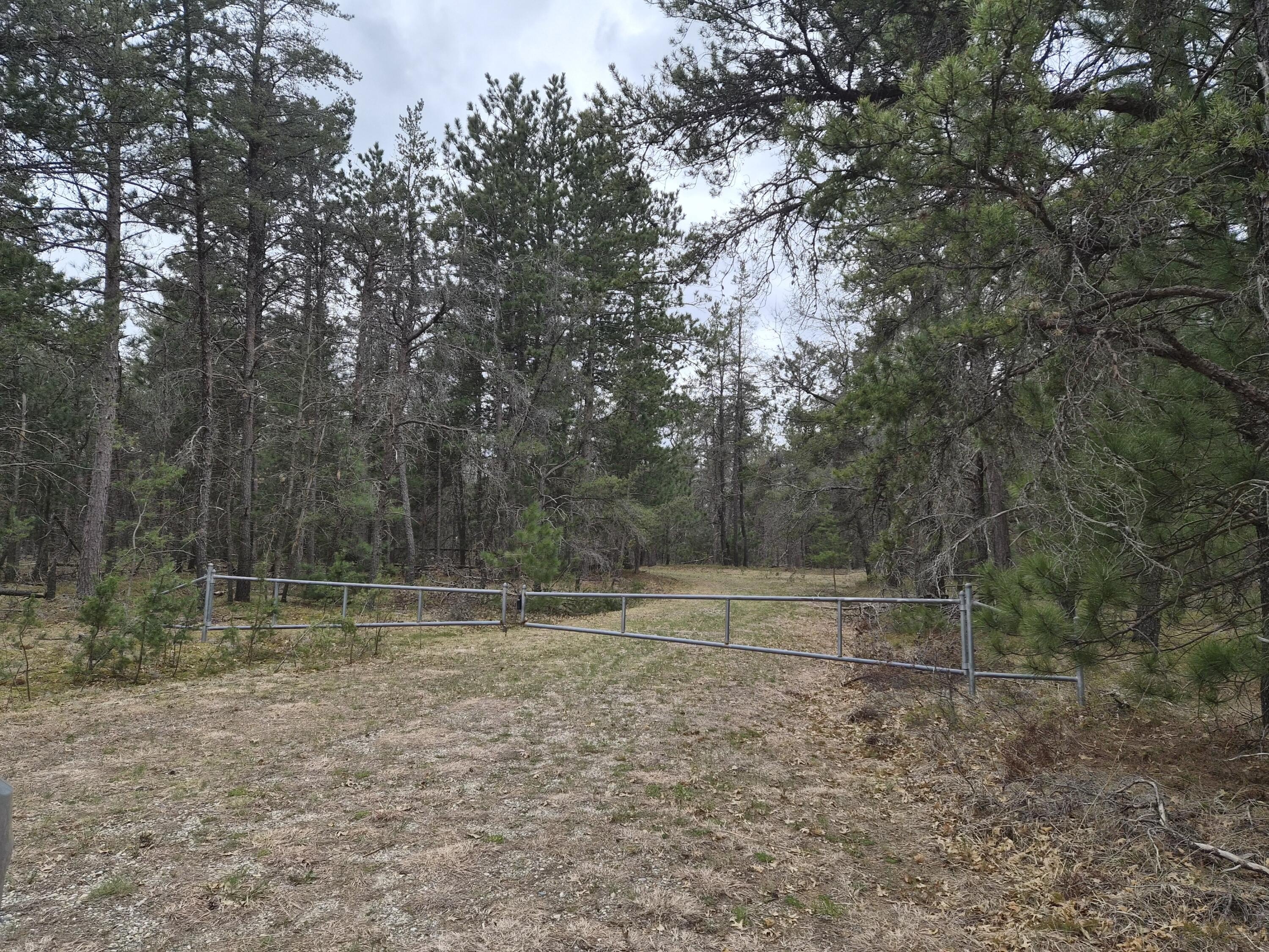 80 Acres Near AuSable River
