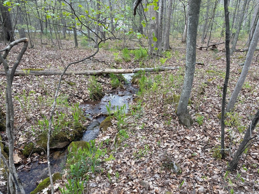 Picture 29