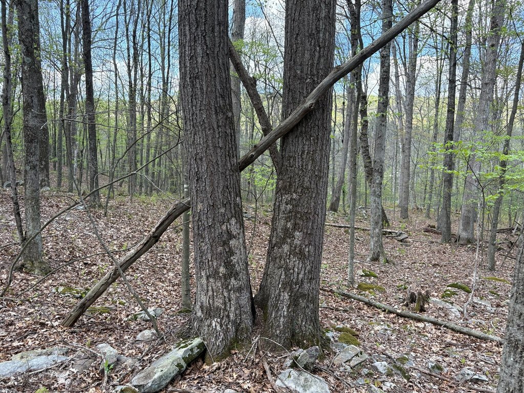 Picture 28