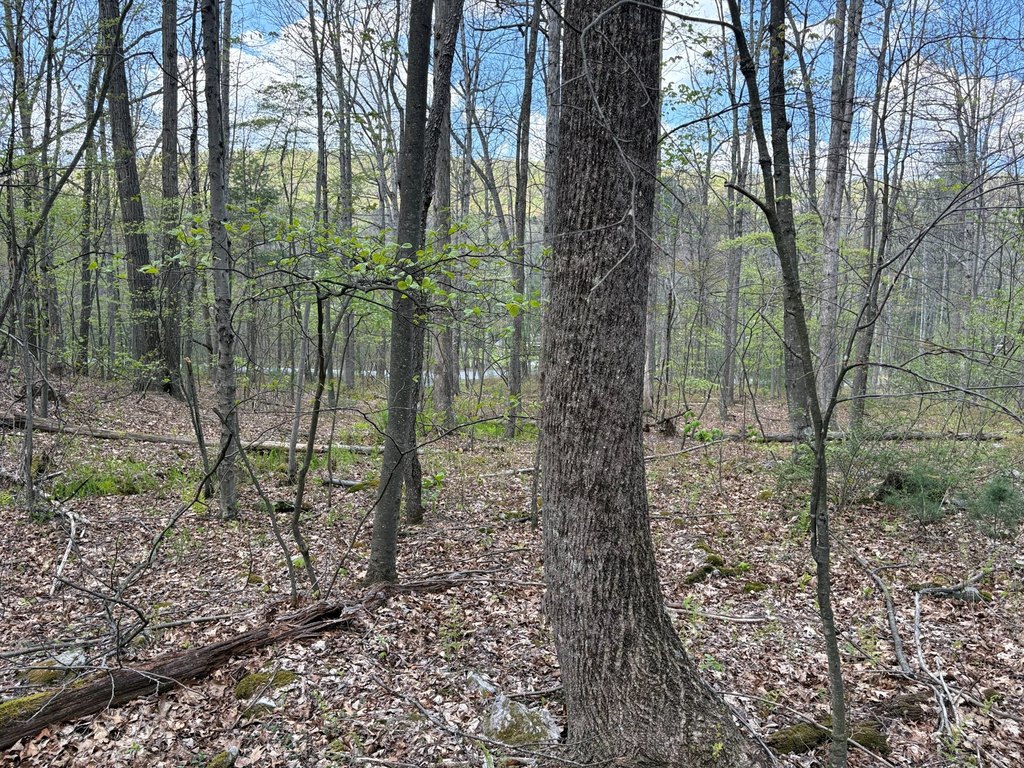 Picture 26