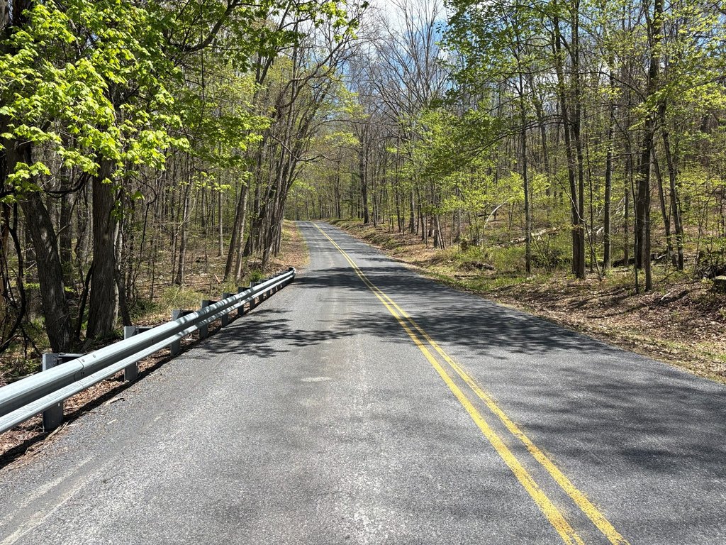 Picture 32