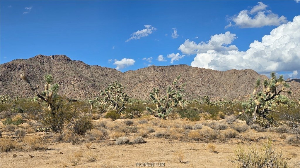 Picture 22