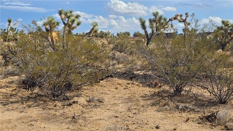 Land, Yucca, AZ