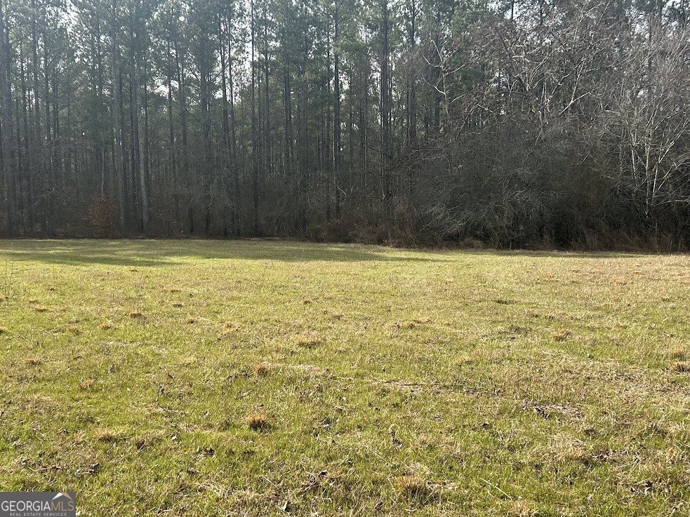 Picture 18