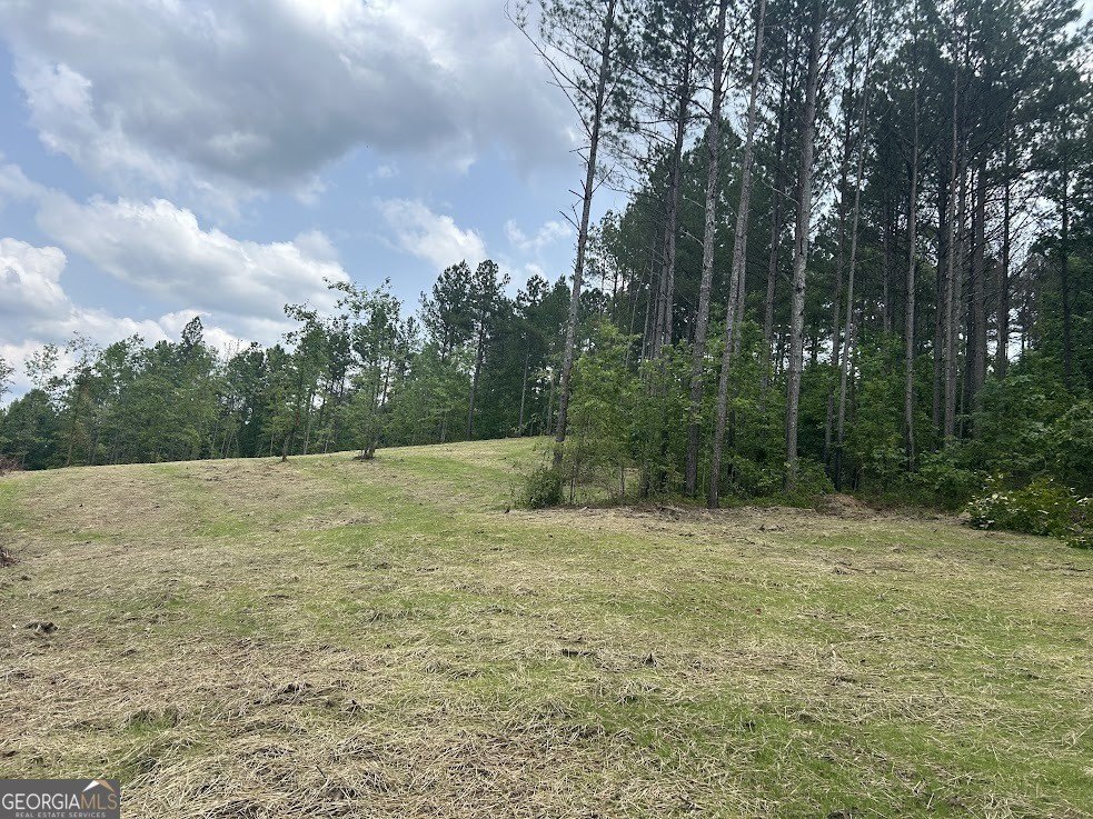 Picture 22