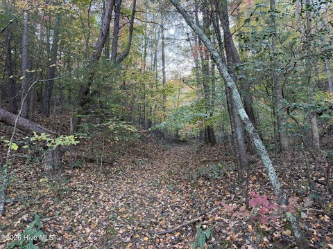 Land, Hayesville, NC