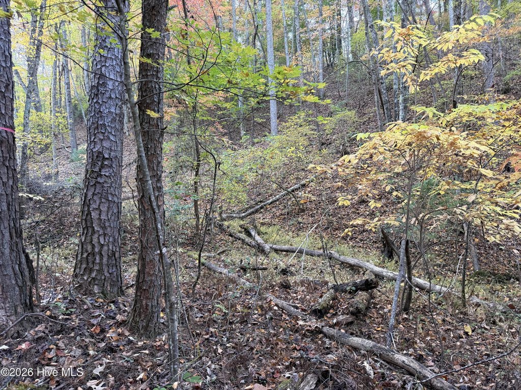 Picture 13