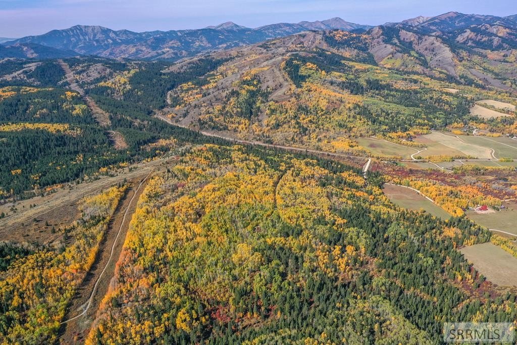 Land Bordering National Forest