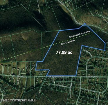 Wooded Mountain Land Parcel